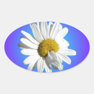 Adesivo Oval Flor de Margarida Branca Gradiente Azul Roxo