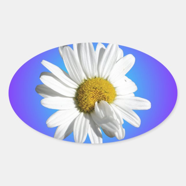 Adesivo Oval Flor de Margarida Branca Gradiente Azul Roxo (Frente)