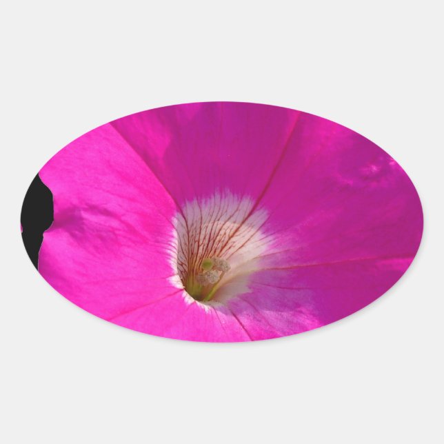 Adesivo Oval flor de petúnia rosa (Frente)