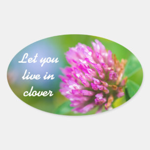 Adesivo Oval Flor de trevo rosa