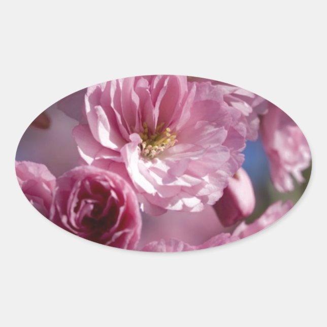 Adesivo Oval Flores Abençoadas (Frente)