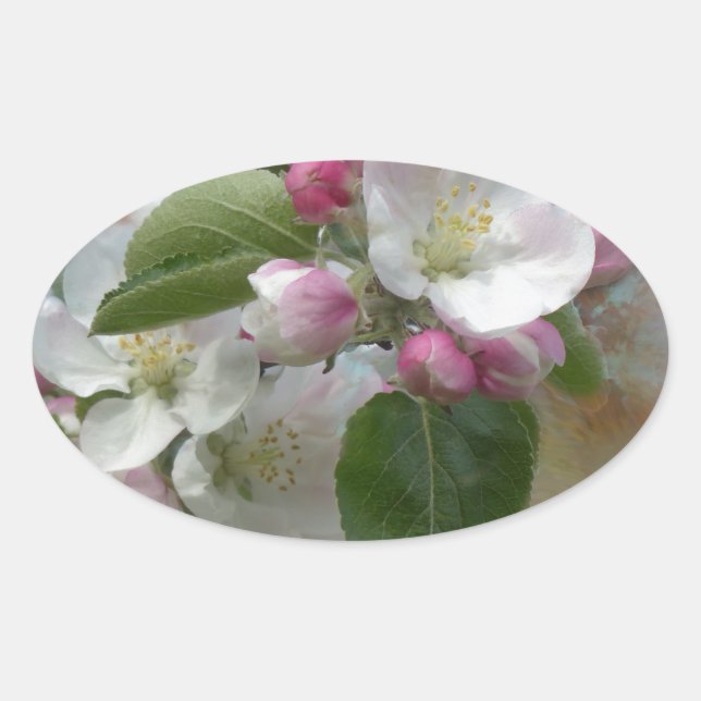 Adesivo Oval Flores de Árvore de Maçã (Frente)