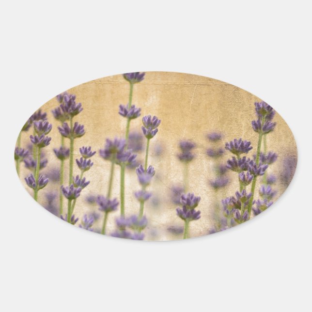 Adesivo Oval Flores de Lavanda bonito (Frente)