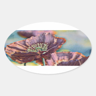 Adesivo Oval Flores de papoila cor-de-laranja roxa