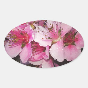 Adesivo Oval Flores de Peach