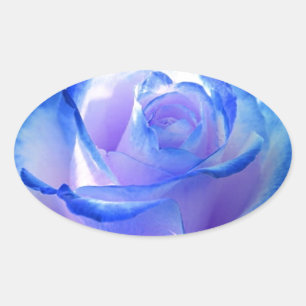 Adesivo Oval flores videiras pétala rosa flores flor azul amor