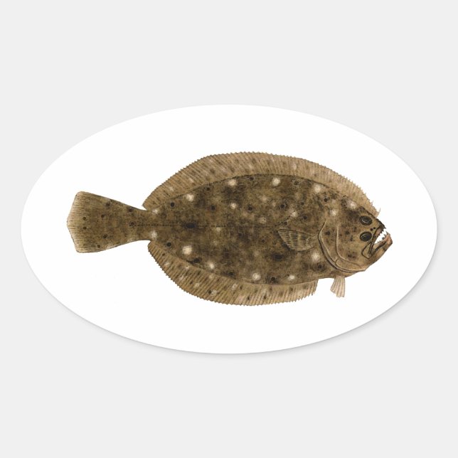 Adesivo Oval Fluke - Flounder Summer (Frente)