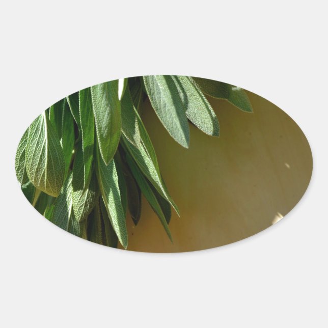 Adesivo Oval Folhas botânicas verdes Elegantes Plantas aromátic (Frente)
