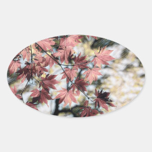 Adesivo Oval Folhas vermelhas rosa e castanho