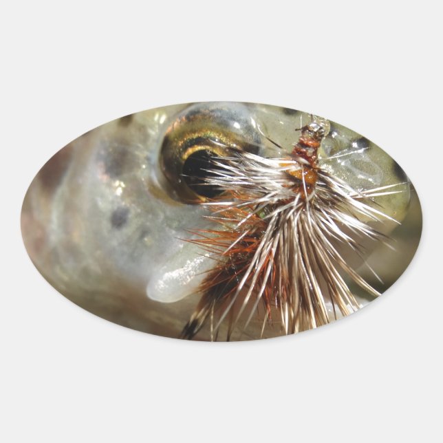 Adesivo Oval Foto do Rainbow Trout (Frente)