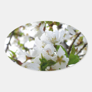 Adesivo Oval Foto floral branca elegante