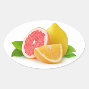Adesivo Oval Frutas de Citrus