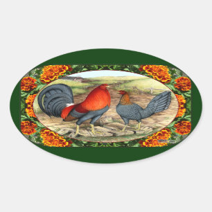 Adesivo Oval Galinha de jogo bonita