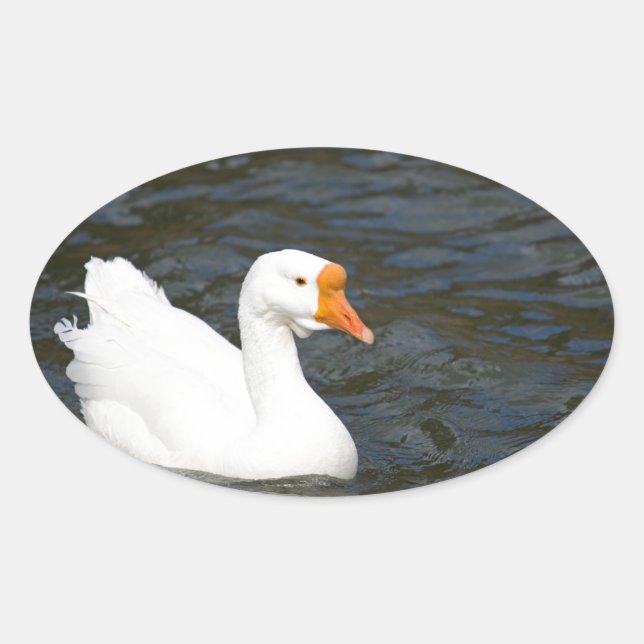 Adesivo Oval Ganso chinês branco (Frente)