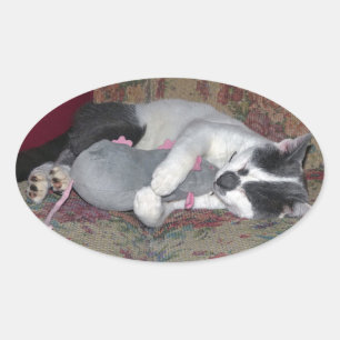 Adesivo Oval Gatinho dormindo