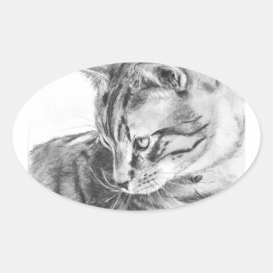 Adesivo Oval Gato de gato malhado cinzento esboçado no carvão