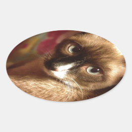 Adesivo Oval Gato Marrom Bonito