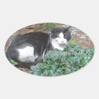 Adesivo Oval Gato preto e branco em verde
