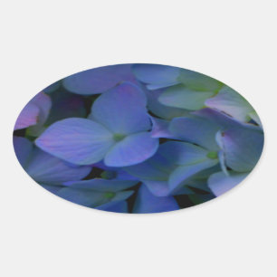 Adesivo Oval Hydrangeas roxos violetas