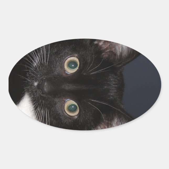 ADESIVO OVAL I LUV KATZ (Frente)