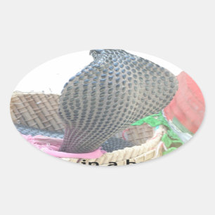 Adesivo Oval Impressão de Arte Cobra na Cesta