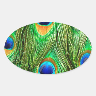 Adesivo Oval Impressão de Penas de Peacock Coloridas