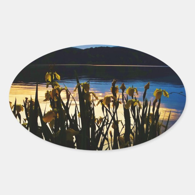 Adesivo Oval Íris Amarelo no lago da margem (Frente)