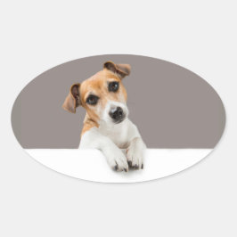 Adesivo Oval Jack Russell Puppy Sweet Adorable Baby Jack