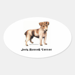 Adesivo Oval Jack Russell Terrier