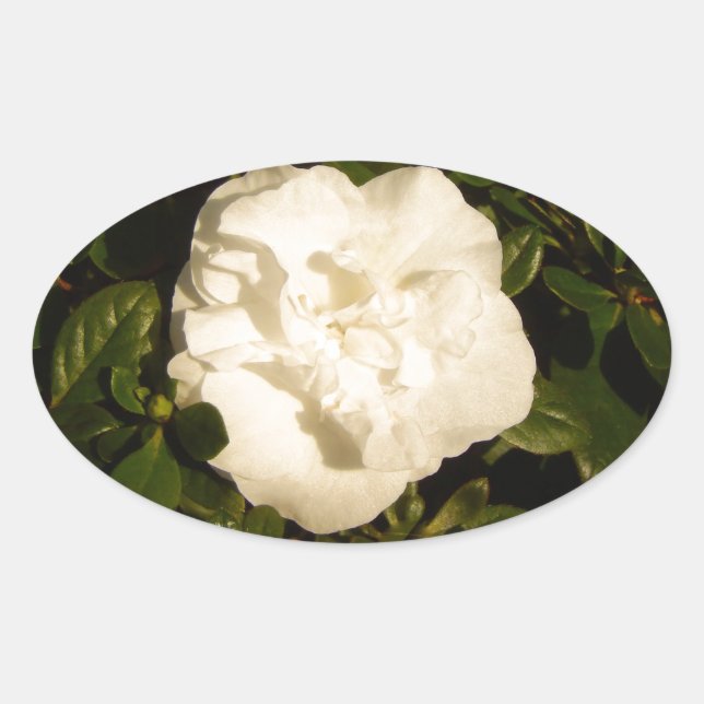 Adesivo Oval Jasmine (Frente)