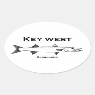 Adesivo Oval Key West Barracuda