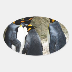 Adesivo Oval King Penguin