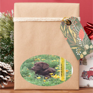 Adesivo Oval Laboratório do chocolate no remendo da papoila de