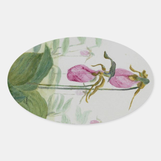 Adesivo Oval Lady Slippers (Frente)