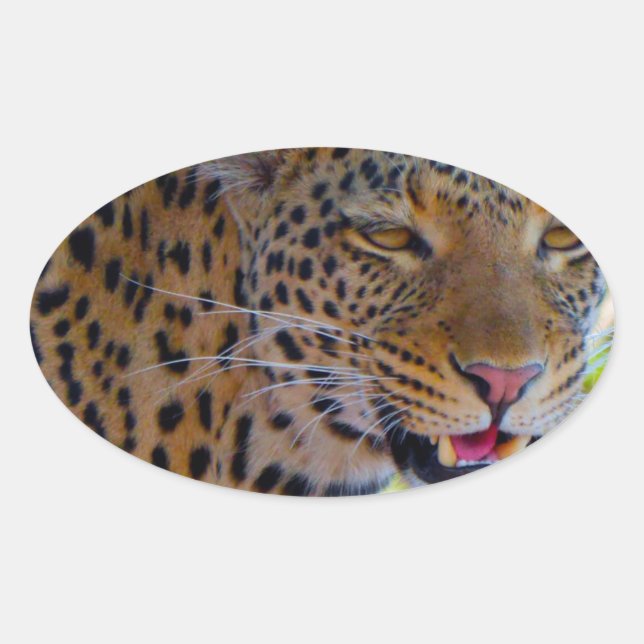 Adesivo Oval Leopardo Manchado (Frente)