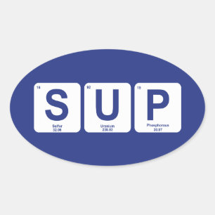 Adesivo Oval Levante-se Paddleboarding