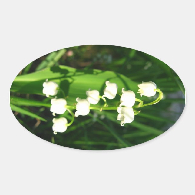 Adesivo Oval Lily Das Flores Do Vale (Frente)