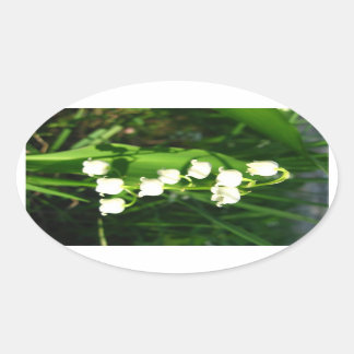Adesivo Oval Lily Das Flores Do Vale
