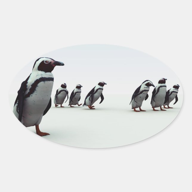 Adesivo Oval Linha Pinguin (Frente)