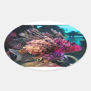 Adesivo Oval Lionfish espetacular