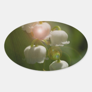 Adesivo Oval Lírio do vale floral