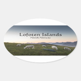 Adesivo Oval Lofoten Norway Sheep