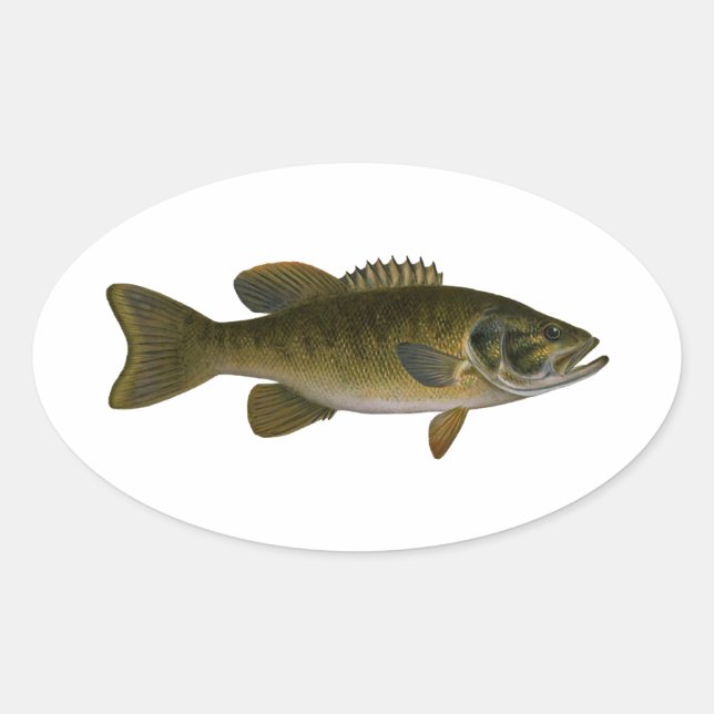 Adesivo Oval Logotipo Bass Smallmouth (Frente)
