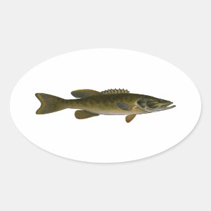Adesivo Oval Logotipo Bass Smallmouth