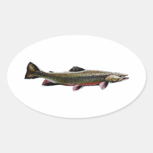 Adesivo Oval Logotipo Brook Trout (Nadação)