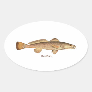 Adesivo Oval Logotipo dos salmonetess