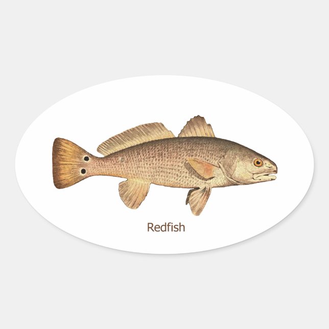 Adesivo Oval Logotipo para Redfish (Frente)