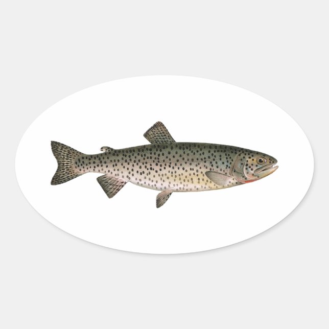 Adesivo Oval Lohanton Cutthroat Trout (Frente)