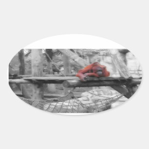 Adesivo Oval Mãe e Bebê Orangutan