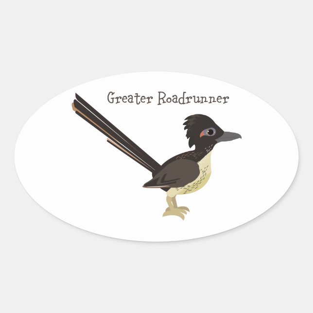 Adesivo Oval Maior Roadrunner (Frente)